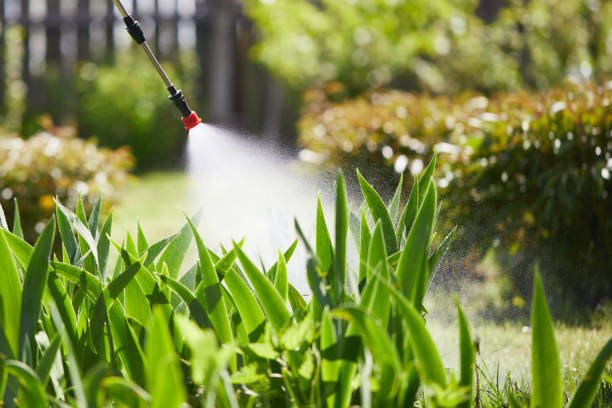24/7 Emergency Mosquito Control experts in Wellsville, KS