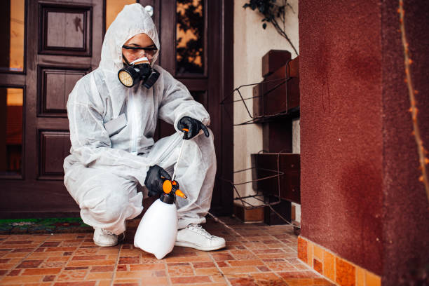 Reliable Mosquito Control contractor in Wellsville, KS by Show Me Pest Control